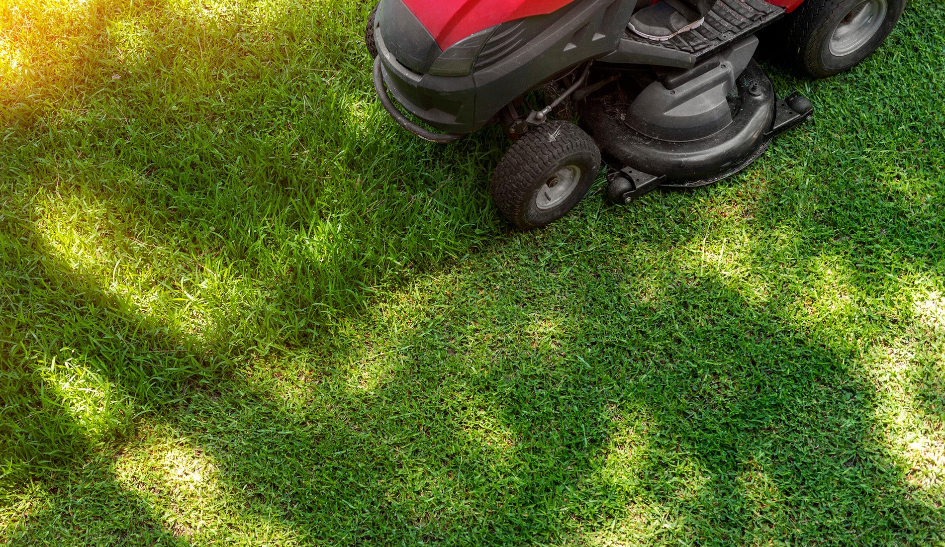 Gräsklippning