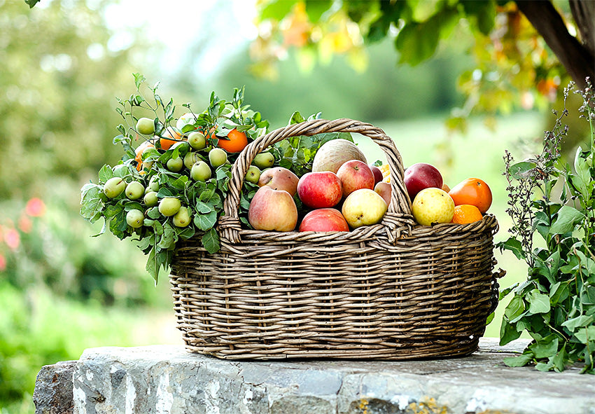 Skörd av frukter och bär
